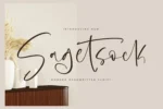 Sagetsock Modern Handwritten Script | DesignPea