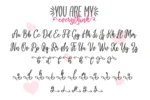 You are my everythink font duo | DesignPea